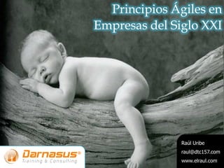 Principios Ágiles en
Empresas del Siglo XXI




               Raúl Uribe
               raul@dtc157.com
               www.elraul.com
 