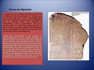 Poema de Gilgamésh La tablilla muestra el relato del diluvio hallado en la biblioteca de Asurbanipal, en Nínive, que pertenece al siglo VII a. C. En la misma Gilgamésh inicia la búsqueda del secreto de la inmortalidad, que se suponía había sido revelado a Utnapishtim, único superviviente del gran diluvio, quien le relata tal acontecimiento. La figura inferior muestra la tablilla decimoprimera, con la descripción del diluvio, de las doce que contienen la historia de Gilgamésh. “ Todas las tempestades y los vientos se desencadenaron; (en un mismo instante) el diluvio invadió los centros de culto. Después que el diluvio hubo barrido la tierra durante siete días y siete noche, y la enorme barca hubo sido bamboleada sobre las vastas aguas por las tempestades, Utu salió, iluminando el cielo y la tierra. Ziusudra abrió entonces una ventana de su enorme barca, y Utu hizo penetrar sus rayos dentro de la gigantesca barca. El rey Ziusudra se prosternó (entonces) ante Utu; el rey le inmoló gran número de bueyes y carneros." 