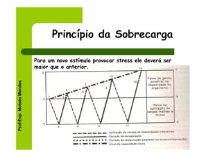 Princípio da Sobrecarga

                          Para um novo estímulo provocar stress ele deverá ser
                          maior que o anterior.
Prof.Esp. Moisés Mendes
 