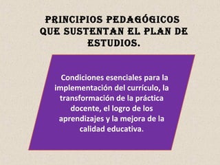 PRINCIPIOS PEDAGÓGICOS
QUE SUSTENTAN EL PLAN DE
ESTUDIOS.
Condiciones esenciales para la
implementación del currículo, la
transformación de la práctica
docente, el logro de los
aprendizajes y la mejora de la
calidad educativa.
 