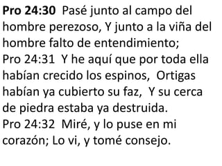 Pro 24:30 Pasé junto al campo del 
hombre perezoso, Y junto a la viña del 
hombre falto de entendimiento; 
Pro 24:31 Y he aquí que por toda ella 
habían crecido los espinos, Ortigas 
habían ya cubierto su faz, Y su cerca 
de piedra estaba ya destruida. 
Pro 24:32 Miré, y lo puse en mi 
corazón; Lo vi, y tomé consejo. 
 