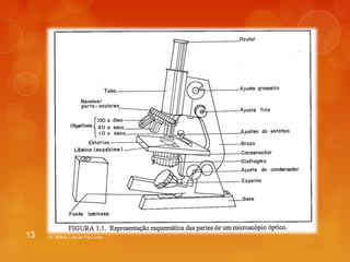 13 Dr. Milton Luiz da Paz Lima 
 