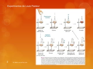 Experimentos de Louis Pasteur 
Dr. Milton Luiz da Paz Lima 
2 
 