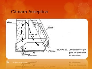 Câmara Asséptica 
22 Dr. Milton Luiz da Paz Lima 
 