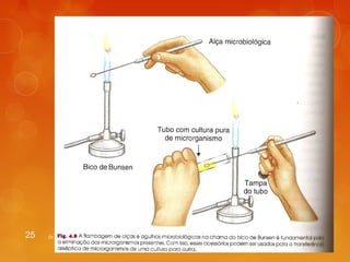 25 Dr. Milton Luiz da Paz Lima 
 