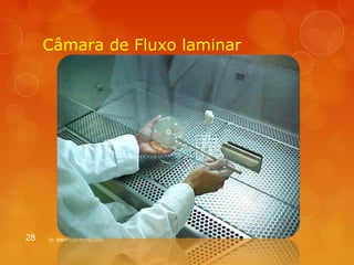 Câmara de Fluxo laminar 
28 Dr. Milton Luiz da Paz Lima 
 