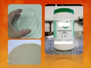 29 Dr. Milton Luiz da Paz Lima 
 