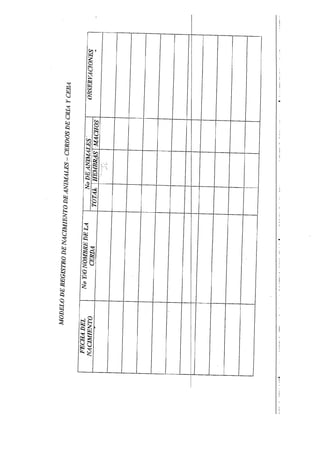 Principios basicos de administracion.pdf