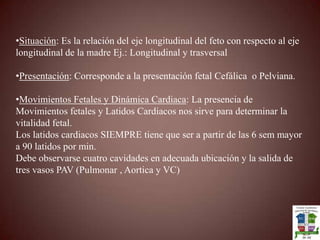 Situación: Es la relación del eje longitudinal del feto con respecto al eje longitudinal de la madre Ej.: Longitudinal y trasversal