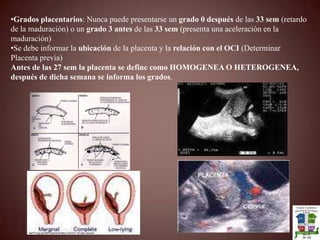 Movimientos Fetales y Dinámica Cardiaca: La presencia de Movimientos fetales y Latidos Cardiacos nos sirve para determinar la vitalidad fetal.Los latidos cardiacos SIEMPRE tiene que ser a partir de las 6 sem mayor a 90 latidos por min.Debe observarse cuatro cavidades en adecuada ubicación y la salida de tres vasos PAV (Pulmonar , Aortica y VC)