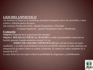 PlacentaPuede reconocerse desde la sem 9 o 10 como un halo que rodeal al saco gestacional.