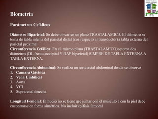 Grado1:Placa corial con ligeras ondulaciones. Sustancia  Placentaria  con pequeñas ecogenicidades lineales ( mas  cercanos a la placa corial) y placa basal sin modificaciones.