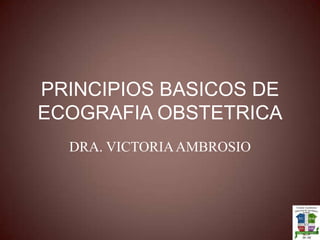 PRINCIPIOS BASICOS DE ECOGRAFIA OBSTETRICA DRA. VICTORIA AMBROSIO 