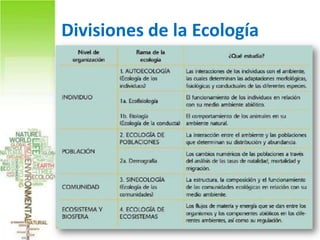 Divisiones de la Ecología
 
