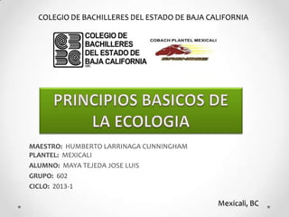 COLEGIO DE BACHILLERES DEL ESTADO DE BAJA CALIFORNIA




MAESTRO: HUMBERTO LARRINAGA CUNNINGHAM
PLANTEL: MEXICALI
ALUMNO: MAYA TEJEDA JOSE LUIS
GRUPO: 602
CICLO: 2013-1

                                              Mexicali, BC
 