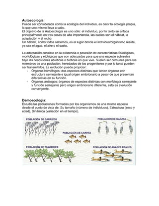 Autoecología:
Puede ser considerada como la ecología del individuo, es decir la ecología propia,
la que uno mismo lleva a cabo.
El objetivo de la Autoecología es uno sólo: el individuo, por lo tanto se enfoca
principalmente en tres cosas de alta importancia, las cuales son el hábitat, la
adaptación y el nicho.
Un hábitat, como todos sabemos, es el lugar donde el individuo/organismo reside,
ya sea el agua, el aire o el suelo.

La adaptación consiste en la existencia o posesión de características fisiológicas,
morfológicas y etológicas que son adecuadas para que una especie sobreviva
bajo las condiciones abióticas o bióticas en que vive. Suelen ser comunes para los
miembros de una población, heredados de los progenitores y por lo tanto pueden
ser transmitidos. La evolución puede propiciar:
   - Órganos homólogos: dos especies distintas que tienen órganos con
       estructura semejante e igual origen embrionario a pesar de que presentan
       diferencias en su función.
   - Órganos análogos: órganos de especies distintas con morfología semejante
       y función semejante pero origen embrionario diferente, esto es evolución
       convergente.


Demoecología:
Estudia las poblaciones formadas por los organismos de una misma especie
desde el punto de vista de: Su tamaño (número de individuos), Estructura (sexo y
edad), Dinámica (variación en el tiempo).
 
