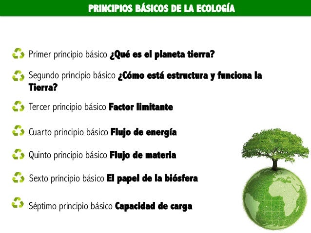 Principios y conceptos básicos de la ecología