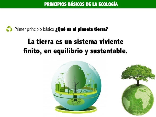 Principios y conceptos básicos de la ecología