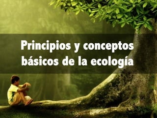 Principios y conceptos
básicos de la ecología
 