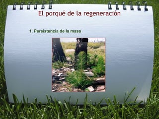 El porqué de la regeneración                      1. Persistencia de la masa                                 