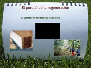 El porqué de la regeneración                            3. Satisfacer necesidades sociales                  