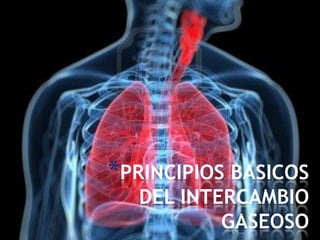*PRINCIPIOS BASICOS
  DEL INTERCAMBIO
          GASEOSO
 
