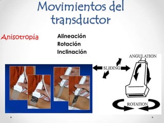 Movimientos del
           transductor
Anisotropía   Alineación
              Rotación
              Inclinación
 