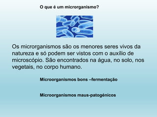 O que é um microrganismo?
Os microrganismos são os menores seres vivos da
natureza e só podem ser vistos com o auxílio de
microscópio. São encontrados na água, no solo, nos
vegetais, no corpo humano.
Microorganismos bons –fermentação
Microorganismos maus-patogénicos
 