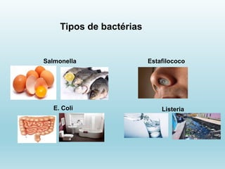 Tipos de bactérias
Salmonella
E. Coli Listeria
Estafilococo
s
 
