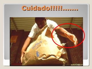 Cuidado!!!!!.......
Cuidado!!!!!.......
 