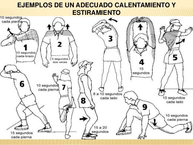 Principios Básicos Antes De Realizar Una Actividad Física