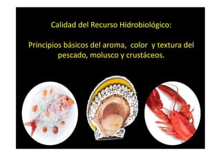 Calidad del Recurso Hidrobiológico:
Principios básicos del aroma, color y textura del
pescado, molusco y crustáceos.
TEC. JOSE CARLOS ZAPATA ROJAS
 
