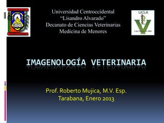 Universidad Centroccidental
        “Lisandro Alvarado”
   Decanato de Ciencias Veterinarias
        Medicina de Menores




IMAGENOLOGÍA VETERINARIA


   Prof. Roberto Mujica, M.V. Esp.
        Tarabana, Enero 2013
 