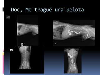 Doc, Me tragué una pelota
 