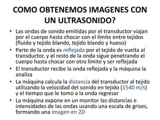 COMO OBTENEMOS IMAGENES CON
UN ULTRASONIDO?
• Las ondas de sonido emitidas por el transductor viajan
por el cuerpo hasta chocar con el límite entre tejidos
(fluido y tejido blando, tejido blando y hueso)
• Parte de la onda es reflejada por el tejido de vuelta al
transductor, y el resto de la onda sigue penetrando el
cuerpo hasta chocar con otro límite y ser reflejada
• El transductor recibe la onda reflejada y la máquina la
analiza
• La máquina calcula la distancia del transductor al tejido
utilizando la velocidad del sonido en tejido (1540 m/s)
y el tiempo que le tomo a la onda regresar
• La máquina expone en un monitor las distancias e
intensidades de las ondas usando una escala de grises,
formando una imagen en 2D
 