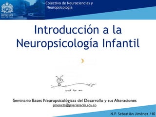 Principios básicos neuropsicología infantil