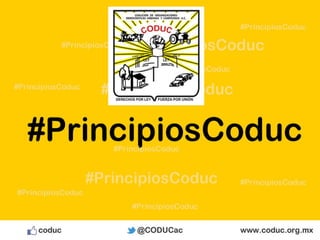 #PrincipiosCoduc