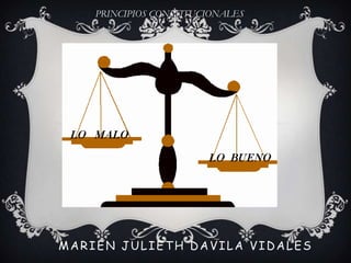 PRINCIPIOS CONSTITUCIONALES  MARIEN JULIETH DAVILA VIDALES  