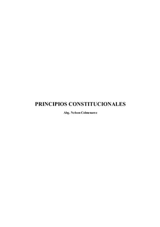 PRINCIPIOS CONSTITUCIONALES
Abg. Nelson Colmenarez
 