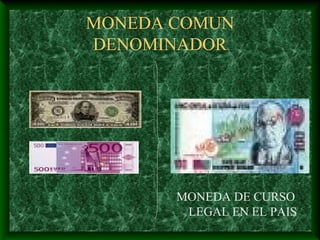 MONEDA COMUN
DENOMINADOR




       MONEDA DE CURSO
        LEGAL EN EL PAIS
 