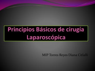 MIP Torres Reyes Diana Citlalli
 