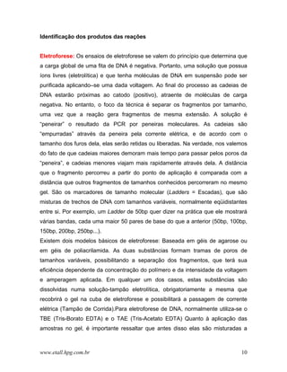 Identificação dos produtos das reações


Eletroforese: Os ensaios de eletroforese se valem do princípio que determina que
a carga global de uma fita de DNA é negativa. Portanto, uma solução que possua
íons livres (eletrolítica) e que tenha moléculas de DNA em suspensão pode ser
purificada aplicando–se uma dada voltagem. Ao final do processo as cadeias de
DNA estarão próximas ao catodo (positivo), atraente de moléculas de carga
negativa. No entanto, o foco da técnica é separar os fragmentos por tamanho,
uma vez que a reação gera fragmentos de mesma extensão. A solução é
“peneirar” o resultado da PCR por peneiras moleculares. As cadeias são
“empurradas” através da peneira pela corrente elétrica, e de acordo com o
tamanho dos furos dela, elas serão retidas ou liberadas. Na verdade, nos valemos
do fato de que cadeias maiores demoram mais tempo para passar pelos poros da
“peneira”, e cadeias menores viajam mais rapidamente através dela. A distância
que o fragmento percorreu a partir do ponto de aplicação é comparada com a
distância que outros fragmentos de tamanhos conhecidos percorreram no mesmo
gel. São os marcadores de tamanho molecular (Ladders = Escadas), que são
misturas de trechos de DNA com tamanhos variáveis, normalmente eqüidistantes
entre si. Por exemplo, um Ladder de 50bp quer dizer na prática que ele mostrará
várias bandas, cada uma maior 50 pares de base do que a anterior (50bp, 100bp,
150bp, 200bp, 250bp...).
Existem dois modelos básicos de eletroforese: Baseada em géis de agarose ou
em géis de poliacrilamida. As duas substâncias formam tramas de poros de
tamanhos variáveis, possibilitando a separação dos fragmentos, que terá sua
eficiência dependente da concentração do polímero e da intensidade da voltagem
e amperagem aplicada. Em qualquer um dos casos, estas substâncias são
dissolvidas numa solução-tampão eletrolítica, obrigatoriamente a mesma que
recobrirá o gel na cuba de eletroforese e possibilitará a passagem de corrente
elétrica (Tampão de Corrida).Para eletroforese de DNA, normalmente utiliza-se o
TBE (Tris-Borato EDTA) e o TAE (Tris-Acetato EDTA) Quanto à aplicação das
amostras no gel, é importante ressaltar que antes disso elas são misturadas a



www.etall.hpg.com.br                                                         10
 