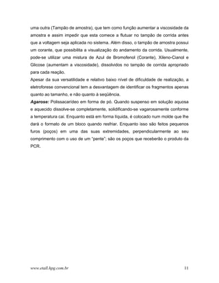 uma outra (Tampão de amostra), que tem como função aumentar a viscosidade da
amostra e assim impedir que esta comece a flutuar no tampão de corrida antes
que a voltagem seja aplicada no sistema. Além disso, o tampão de amostra possui
um corante, que possibilita a visualização do andamento da corrida. Usualmente,
pode-se utilizar uma mistura de Azul de Bromofenol (Corante), Xileno-Cianol e
Glicose (aumentam a viscosidade), dissolvidos no tampão de corrida apropriado
para cada reação.
Apesar da sua versatilidade e relativo baixo nível de dificuldade de realização, a
eletroforese convencional tem a desvantagem de identificar os fragmentos apenas
quanto ao tamanho, e não quanto à seqüência.
Agarose: Polissacarídeo em forma de pó. Quando suspenso em solução aquosa
e aquecido dissolve-se completamente, solidificando-se vagarosamente conforme
a temperatura cai. Enquanto está em forma líquida, é colocado num molde que lhe
dará o formato de um bloco quando resfriar. Enquanto isso são feitos pequenos
furos (poços) em uma das suas extremidades, perpendicularmente ao seu
comprimento com o uso de um “pente”; são os poços que receberão o produto da
PCR.




www.etall.hpg.com.br                                                           11
 