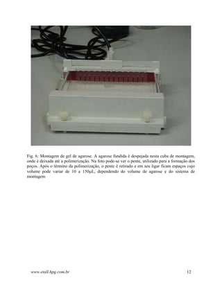 Fig. 6: Montagem de gel de agarose. A agarose fundida é despejada nesta cuba de montagem,
onde é deixada até a polimerização. Na foto pode-se ver o pente, utilizado para a formação dos
poços. Após o término da polimerização, o pente é retirado e em seu ligar ficam espaços cujo
volume pode variar de 10 a 150µL, dependendo do volume de agarose e do sistema de
montagem




  www.etall.hpg.com.br                                                                   12
 