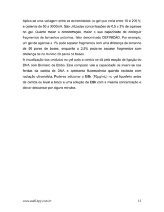 Aplica-se uma voltagem entre as extremidades do gel que varia entre 10 e 200 V,
e corrente de 50 a 3000mA. São utilizadas concentrações de 0,5 a 3% de agarose
no gel. Quanto maior a concentração, maior a sua capacidade de distinguir
fragmentos de tamanhos próximos, fator denominado DEFINIÇÃO. Por exemplo,
um gel de agarose a 1% pode separar fragmentos com uma diferença de tamanho
de 80 pares de bases, enquanto a 2,5% pode-se separar fragmentos com
diferença de no mínimo 30 pares de bases.
A visualização dos produtos no gel após a corrida se dá pela reação de ligação do
DNA com Brometo de Etídio. Este composto tem a capacidade de inserir-se nas
fendas da cadeia de DNA e apresenta fluorescência quando excitado com
radiação ultravioleta. Pode-se adicionar o EtBr (10µg/mL) no gel liquefeito antes
da corrida ou levar o bloco a uma solução de EtBr com a mesma concentração e
deixar descansar por alguns minutos.




www.etall.hpg.com.br                                                          13
 