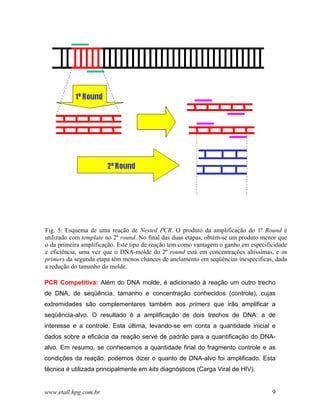Fig. 5: Esquema de uma reação de Nested PCR. O produto da amplificação do 1º Round é
utilizado com template no 2º round. No final das duas etapas, obtém-se um produto menor que
o da primeira amplificação. Este tipo de reação tem como vantagem o ganho em especificidade
e eficiência, uma vez que o DNA-molde do 2º round está em concentrações altíssimas, e os
primers da segunda etapa têm menos chances de anelamento em seqüências inespecíficas, dada
a redução do tamanho do molde.

PCR Competitiva: Além do DNA molde, é adicionado à reação um outro trecho
de DNA, de seqüência, tamanho e concentração conhecidos (controle), cujas
extremidades são complementares também aos primers que irão amplificar a
seqüência-alvo. O resultado é a amplificação de dois trechos de DNA: a de
interesse e a controle. Esta última, levando-se em conta a quantidade inicial e
dados sobre a eficácia da reação serve de padrão para a quantificação do DNA-
alvo. Em resumo, se conhecemos a quantidade final do fragmento controle e as
condições da reação, podemos dizer o quanto de DNA-alvo foi amplificado. Esta
técnica é utilizada principalmente em kits diagnósticos (Carga Viral de HIV).


www.etall.hpg.com.br                                                                 9
 