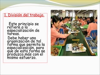 1. División del trabajo.

  Este principio se
 refiere a la
 especialización de
 tareas.
 Debe haber una
 organización de tal
 forma que permita la
 especialización, para
 que de esta forma se
 produzca más con el
 mismo esfuerzo.
 