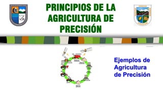 PRINCIPIOS DE LA
AGRICULTURA DE
PRECISIÓN
Ejemplos de
Agricultura
de Precisión
 