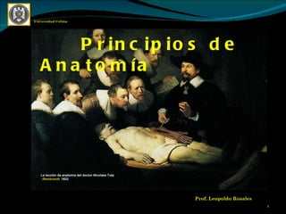 Prof. Leopoldo Rosales Universidad Colima Principios de Anatomía  La lección de anatomía del doctor Nicolaes Tulp  : Rembrandt   1632    