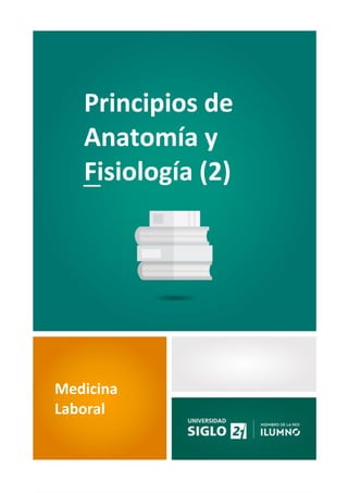 1
Principios de
Anatomía y
Fisiología (2)
Medicina
Laboral
 
